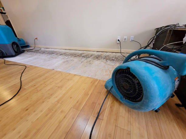 Professional Water Damage Repair technician working in Medina, TX